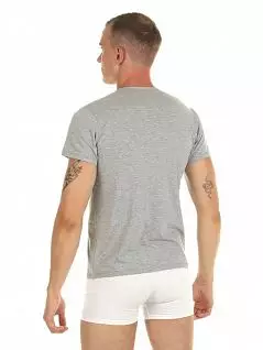 Мужская футболка из хлопка и эластана серого цвета DonDon RT501-01_06